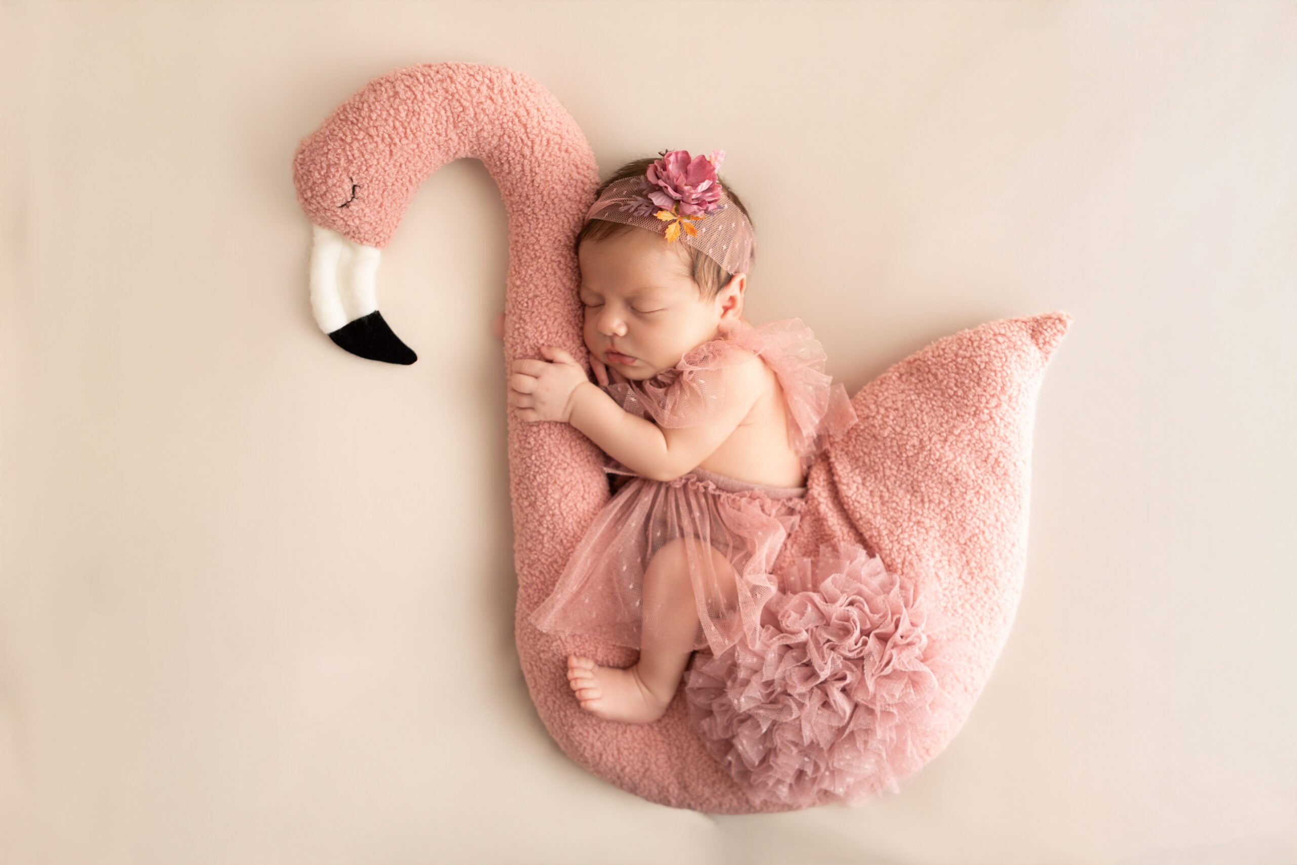 Newbornshooting Herne